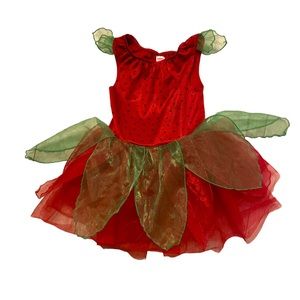 Gymboree Fairy Costume 5/6